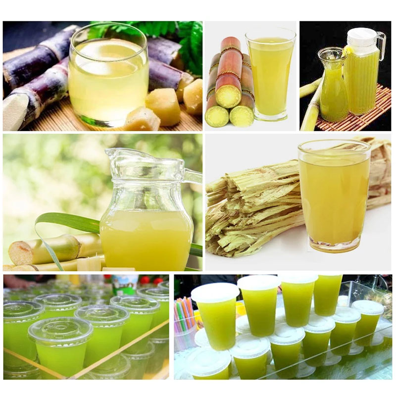 Handmatige suikerrietpersmachi - Juice Extractor Commercial recensie en prijs